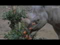 天王寺動物園100周年