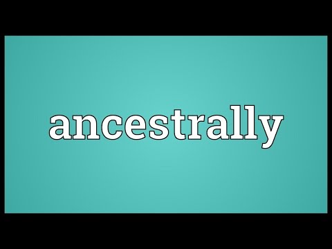 Header of ancestrally