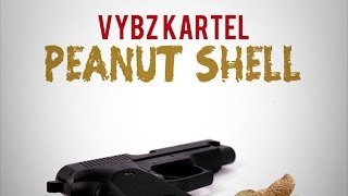 Watch Vybz Kartel Peanut Shell video