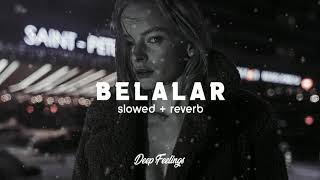 Tefo & Seko feat. Seda Tripkolic - Belalar (Slowed + Reverb)