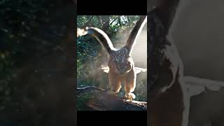 Krait Vs Owl In Tree Hollow The Silent Ambush