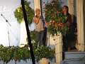 view The Christmas Song