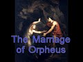 CHARLES TURNER: The Marriage of Orpheus