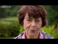 Pam Ayres' Lifeline's Appeal for Canine Partners - BBC One