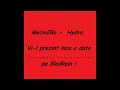 metin2ro Hydra Ch3LLo vs BlodRain ( ce na pus el,mincinosul )