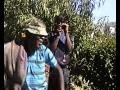 people enjoying themself dancing for puseletso seema traditional sotho music