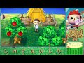 Animal Crossing: New Leaf - Parte 2 - ¡Primeras Herramientas! - Chequio