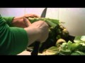 Limpieza y preparación de alcachofas