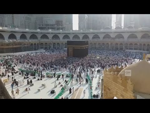 Video info haji arab saudi Video info haji arab saudi