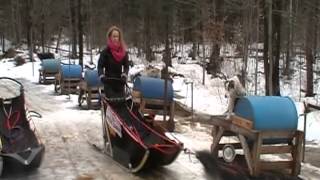 Joy Barney Dog Sledding
