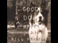 Bill Frisell - Rain Rain