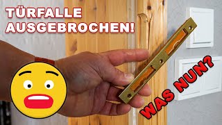 Türfalle Ausgebrochen / Türrahmen Schließblech Reparieren / Türrahmen Ausgebrochen