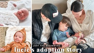 Just The Beginning Lucies Adoption Story