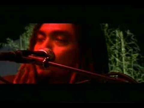 Steven & The Coconut Treez - Badai (live)