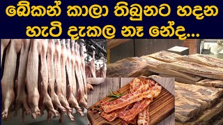 බකන කල තබනට හදන හට දකල න නද ... Beakan Kala Thibunata Hadhana Hati Dhakala Nae Neadha.