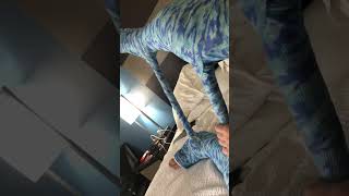 Dllc W Bars Part ???