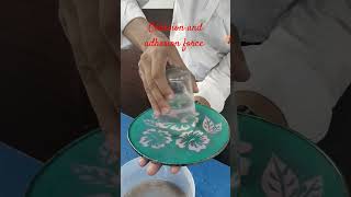 Cohesion And Adhesion Force