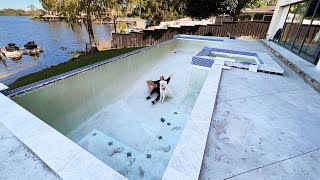 Dogs React Draining Our Swimming Pool - Super Cooper Sunday 325