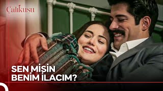 Doktor Derdime Bir Çare Çalıkuşu