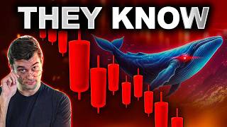 The Crypto Market Is Rigged? What You Need To Know