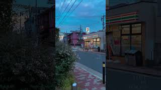 Blue Hour In Tokyo Just Hits Different.