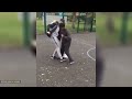 BEST SOCCER FOOTBALL VINES - GOALS, SKILLS, FAILS #13