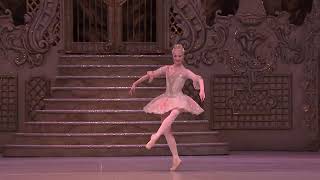 Dance Of The Sugar Plum Fairy From The Nutcracker The Royal Ballet Dance Of The Sugar Plum Fairy From The Nutcracker The Royal Ballet