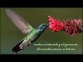 Desiderata