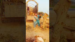 Lakri Ko Phank Diya Or Bad Men Kiya Howa
