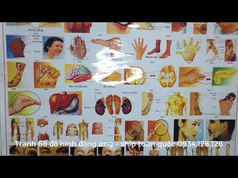 Hướng dẫn sử dụng tranh 68 đồ hình đồng ứng Diện Chẩn