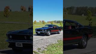 1969 Ford Mustang Mach 1 For Sale Volo Museum V22012