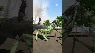 Jaws Vs Claws Mantis Vs Purussaurus
