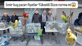 İzmir Sultan Kanarya Muhabbet Hint Bülbülü Sevda Papağanları Pazarı Çok Güzeller