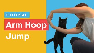 A Fun Cat Trick Teach Your Cat To Jump Through An Arm Hoop