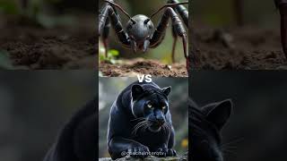Formiga Gigante Vs Leão Pantera Negra, Falcão Gigante
