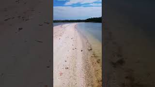 Some Beach.... Somewhere...