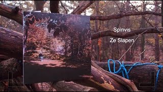 Watch Spinvis Ze Slapen video