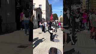 The Royal Guard Hodling A Mive Sword