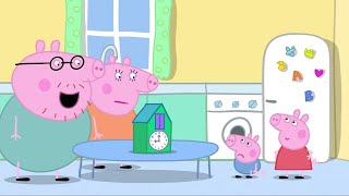 Peppa Pig Full Episodes Season 2 Part 8 Peppa Pig Family Kids Cartoons