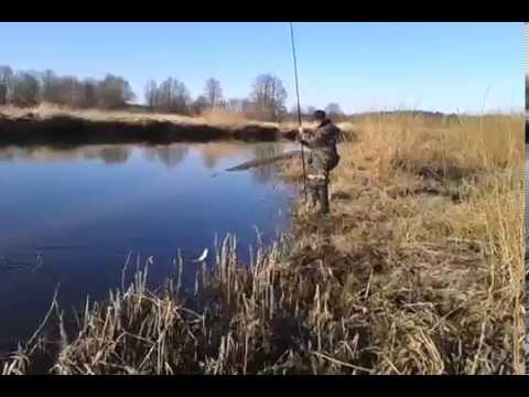 видео ловля леща на немане видео видео ловля леща на немане видео