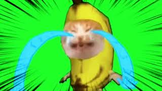 Banana Cat Crying , 1 Hour Memes 2023