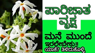 ಪರಜತ ವಕಷದ ಬಗಗ ತಳದಕಳಳ Dr Mahararshi Guruji