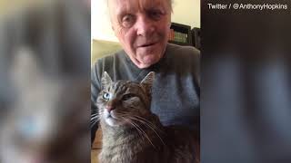 Anthony Hopkins Plays The Piano For His Cat Cat Listening Paino Cat Videos
