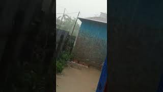 Ngc Gi Nongcna Fklangga Loi Loigre