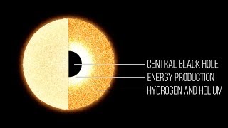 What Is A Quasi-Star?