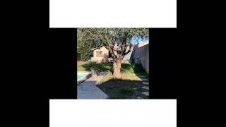 Albi, Une Belle Maison Familiale - Ref 2496 -