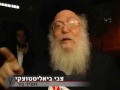 Neturei