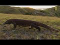 Living Among Ancient Dragons