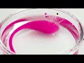 Lush 1ˢᵗ Gen by Lovense Unboxing & Instructions | KissKiss.ch