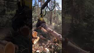 Procesadora 1270G #Machine #Woodworking #Forest #Madera #Johndeere #Viral #Harvesting #Harvester